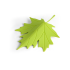 Bloker stoper do drzwi jesienny liść Zielony QL10072-GN (1) thumbnail
