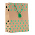 Papierowa torba prezentowa zielony CX1497-09  thumbnail
