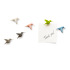 Magnesy Hummingbird mix Wielokolorowy QL10102-PT  thumbnail
