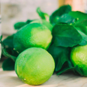 Dyfuzor Premium Reed 3l Bergamotto diCalabria CERERIA MOLLA