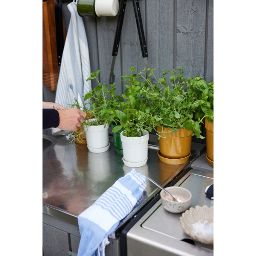 ELISE DONICZKA, Ż&Oacute;ŁTY Żółty 5018489- (4)