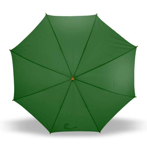 Parasol automatyczny zielony V4201-06 (1)