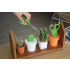 Nożyczki w pojemniku Cactus Wielokolorowy QL10282-OR-GN (1) thumbnail