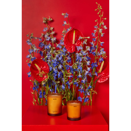 IGNITE ŚWIECA ZAPACHOWA 45 GODZ., BURSZTYNOWY Bursztynowy 5292452314-00--00 (5)