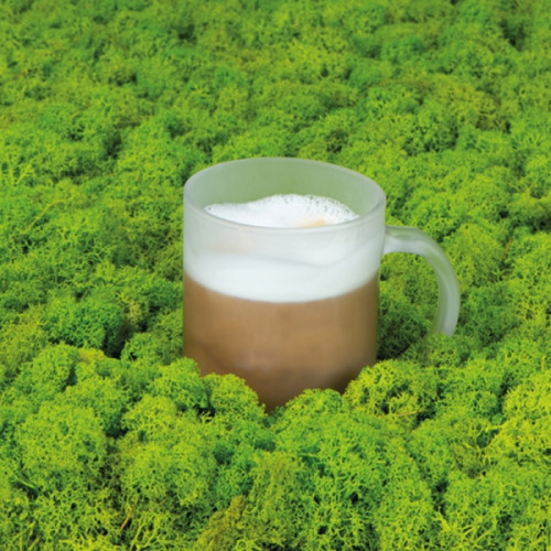 Kubek szklany do kawy GENOVA 300 ml Przeźroczysty 798166 (2)