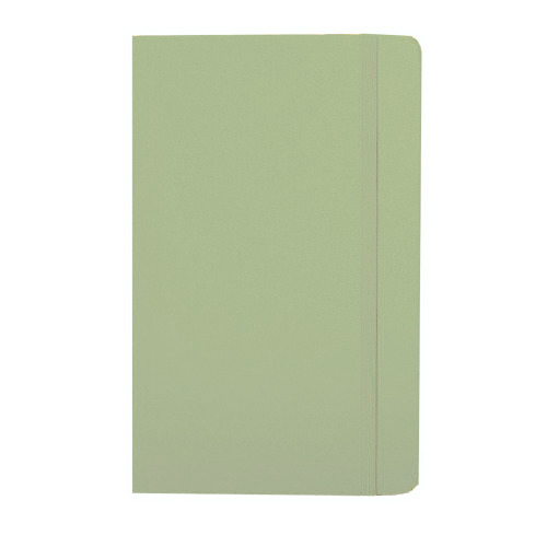 MOLESKINE Notatnik ok. A5 Jasnozielony VM301-10 (2)
