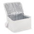 R-PET 6 Torba chłodząca na puszki z włókniny 20 x 13 x 12,5 cm 75g/m² Biały LT95390-N0001 (3) thumbnail