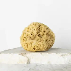 Naturalna gąbka morska 12,5 cm