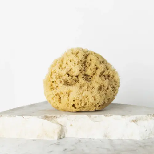 Naturalna gąbka morska 12,5 cm Naturalny HHMM01 (1)