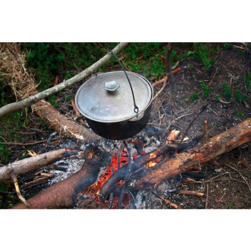 Składany nóż RAY Schwarzwolf Brązowy F1900100SA301 