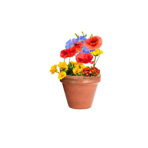 Kula nasienna, kula z nasionami dzikich kwiatów neutralny V7224-00 (5)