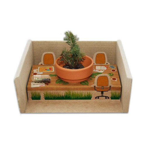 Diorama z nasionami Naturalny TIP30 (2)