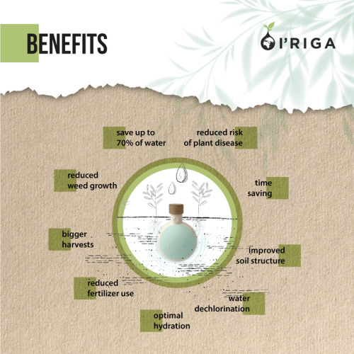 Ceramiczne naczynie do nawadniania roślin 400 ml B'RIGHT | I'Riga Neutralny V8891-00 (3)