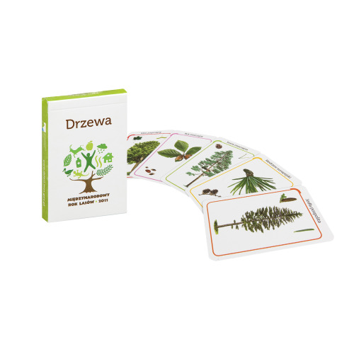 Czarny Piotruś Wielokolorowy CartaPiotuś (2)