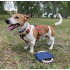 Frisbee dla psa RINGO Niebieski 20059-03 (3) thumbnail