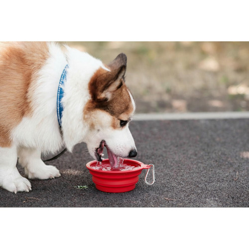 Składana miska dla psa | Platora Czerwony VA071-05 (1)