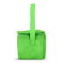 R-PET 6 Torba chłodząca na puszki z włókniny 20 x 13 x 12,5 cm 75g/m² Jasnozielony LT95390-N0032 (5) thumbnail
