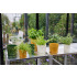ELISE DONICZKA, ŻÓŁTY Żółty 5018489- (3) thumbnail