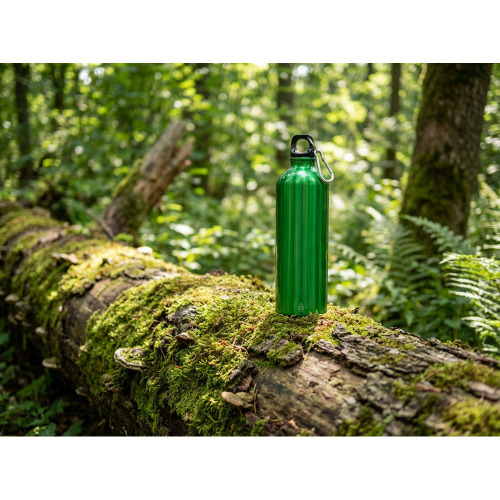 Butelka sportowa 750 ml z karabińczykiem | Laveriano Zielony VA918-06 (2)