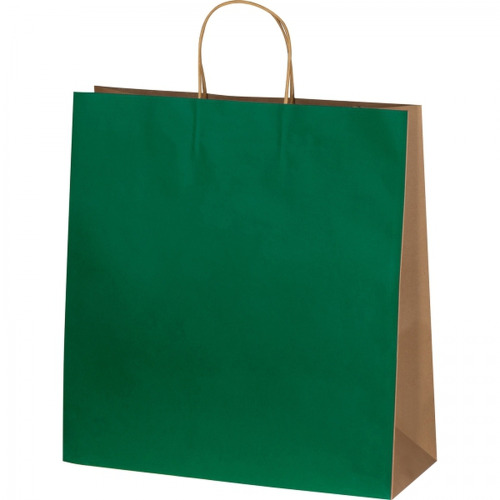 Torba papierowa duża 120 g/m2 GUS Zielony 6181709 