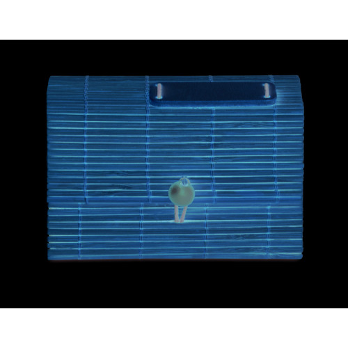 Zestaw 500 kartek z bambusa Drewna MO9571-40 (2)