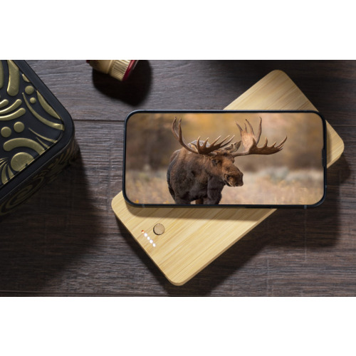 Powerbank BORRA 10000 mAh Naturalny 45127-17 (7)