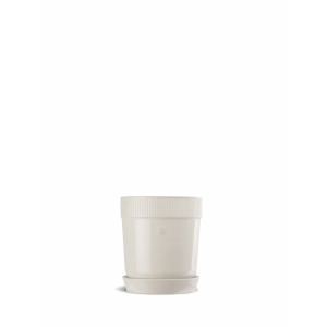 ELISE DONICZKA, BIAŁY