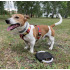 Frisbee dla psa RINGO Czarny 20059-02 (3) thumbnail