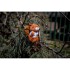 Ginny, pluszowa wiewiórka, brelok pomarańczowy HE740-07 (5) thumbnail