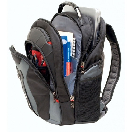 Plecak na laptopa Pegasus 17'' Wenger Niebieski W600639 (3)