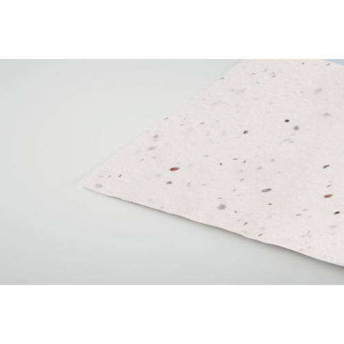 Wizytówka z nasionami dzikich k Bialy MO2993-06 (2)