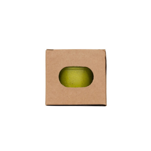 Doniczka do kwiatów, 5-8 nasion petunii i ziemia Zielony V8530-06 (10)