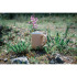 Kubek ceramiczny 300 ml Brązowy P434.099 (4) thumbnail