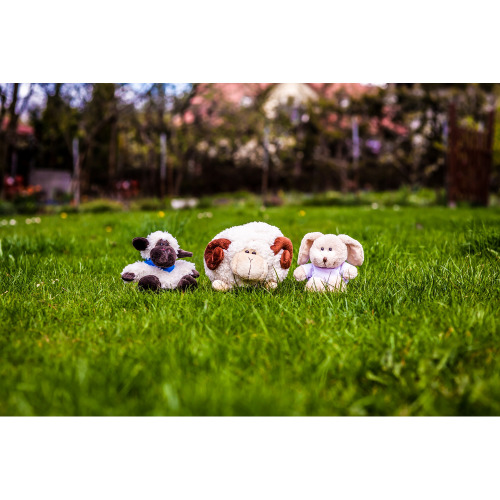 Stormy, pluszowy baranek, poduszka Biały HE499-02 (1)