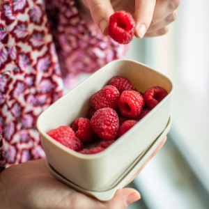 Pojemnik Candy S Desert Sand Koziol