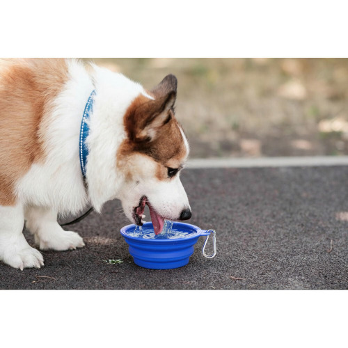 Składana miska dla psa | Platora Niebieski VA071-11 (1)