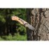 Drewniany nóż składany, scyzoryk brązowy P414.059 (6) thumbnail