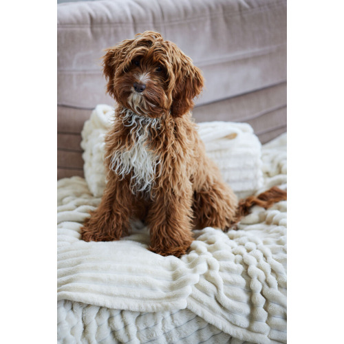 Koc ESTHER, kremowy Kremowy 5018629- (8)