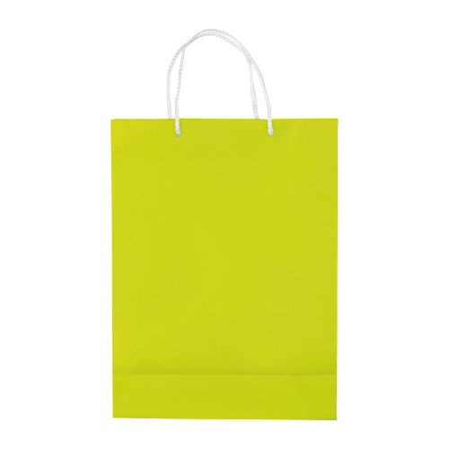 Papierowa torba duża Jasnozielony LT91513-N0032 (2)