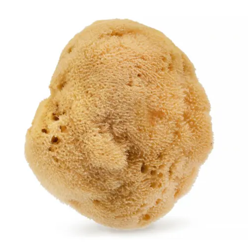 Naturalna gąbka morska 12,5 cm Naturalny HHMM01 