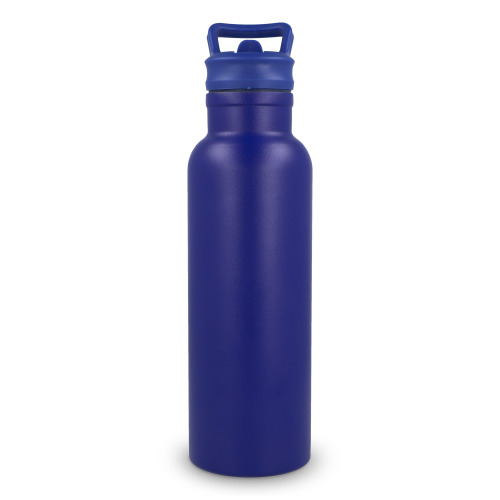 Termos Dario 500 ml Niebieski LT98890-N0011 (4)