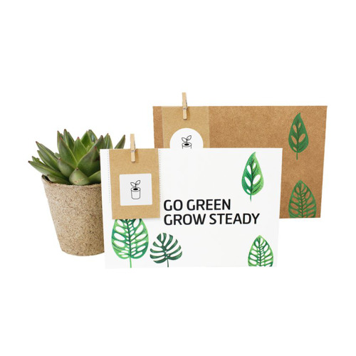 Zielona karta Naturalny TIP16 