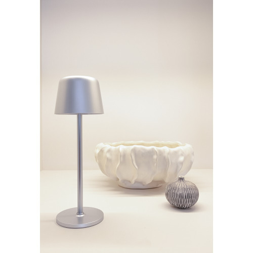 Lampka na biurko Zenic Srebrny P513.9702 (11)