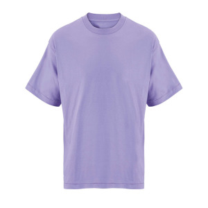 LEGACY OVERSIZED T-SHIRT Meadow