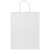 Kraft torba papierowa 80–90 g/m2 ze skręcanymi uchwytami — 25 x 15 x 32 cm Biały 1PQ01301 (1) thumbnail