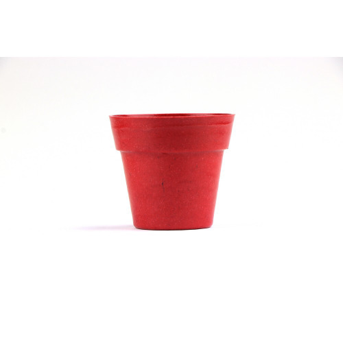Doniczka do kwiatów, 5-8 nasion petunii i ziemia Czerwony V8530-05 (6)
