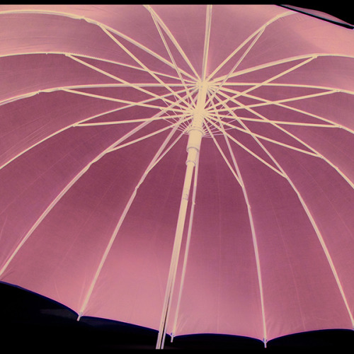 Parasol automatyczny z drewnianą rączką / Raynfall Bordowy IP35037554 (4)
