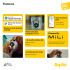 Wodoodporny lokalizator Aqiila Tagbird z dzwonkiem rowerowym Czarny LT45202-N0002 (2) thumbnail