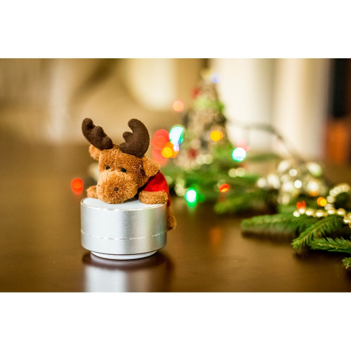 Głośnik bezprzewodowy, radio | Silas Srebrny V3879/W-32 (3)