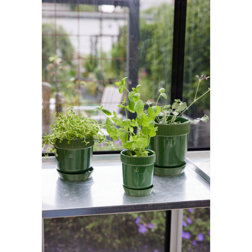 ELISE DONICZKA, ZIELONY Zielony 5018490- (1)